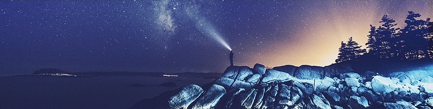The Great Customer Service Divide_870x220