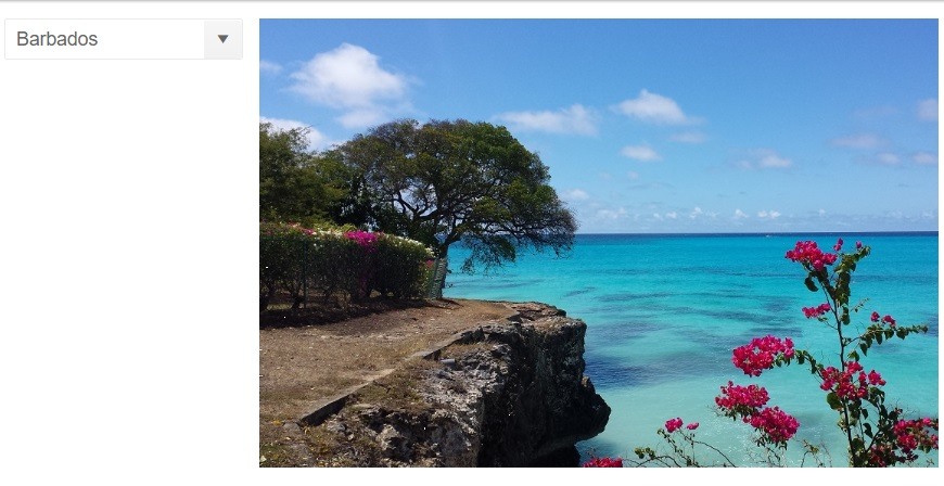 How to Easily Display Images by URL with Kendo UI Builder_870x450