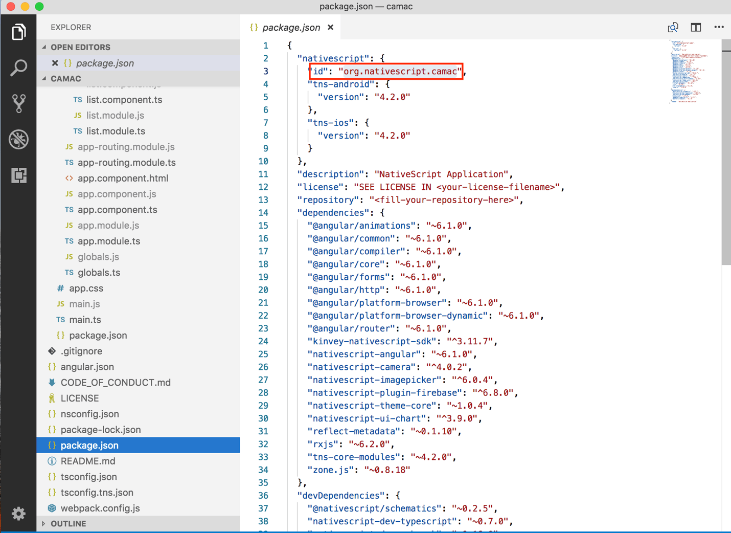 Our Package JSON