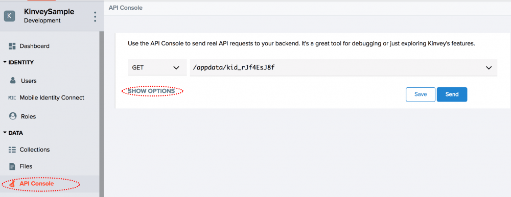 api-console
