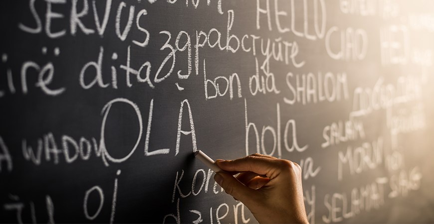 Multilingual Support