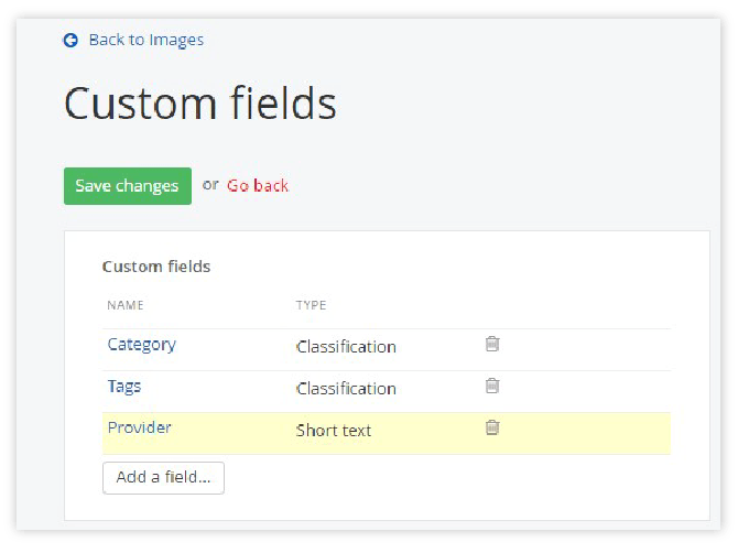 DAM-Custom Fields