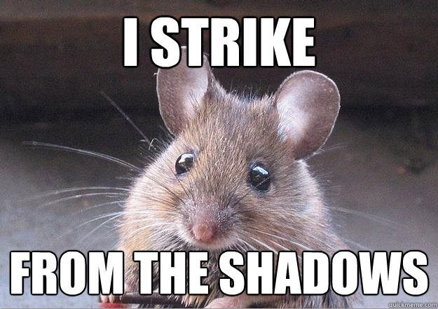 Mouse: I Strike from the Shadows