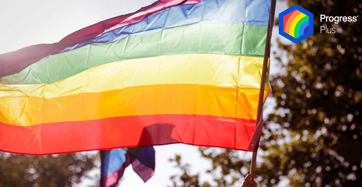 Plus banner Rainbow Hub blog post_1200x620