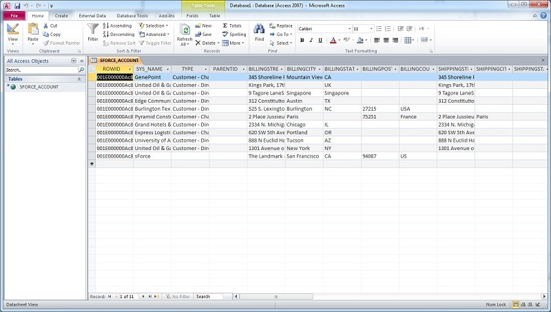 Salesforce Account data linked to ms access