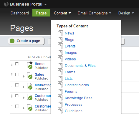 Sitefinity intranet administrative area