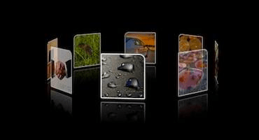 MVC Rotating Carousel Widget Sitefinity