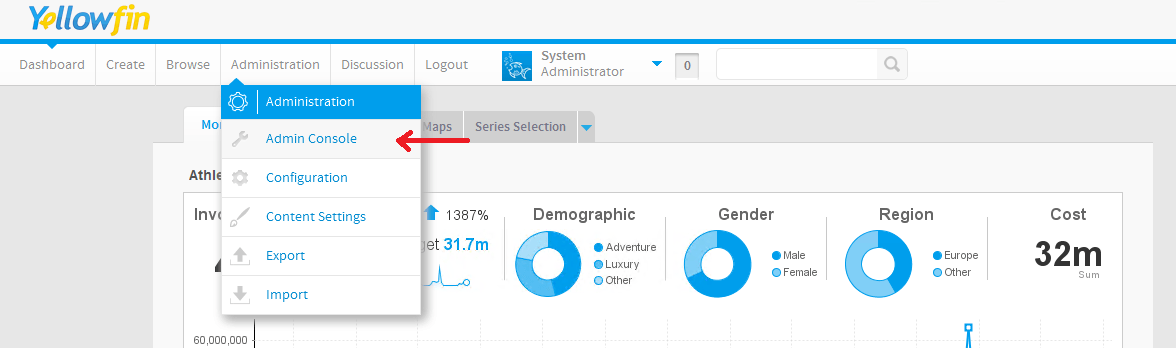 Log into the Yellowfin server