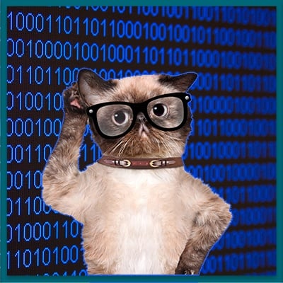 interactive-prompts-powershell-sq.jpg